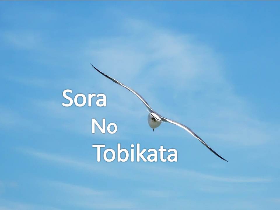 ドライブ（自動車＆自転車＆バイク）に関するWebメディア